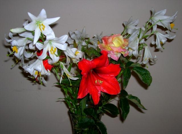 Name:  DSCN2225.jpg
Views: 1973
Size:  36.7 KB
