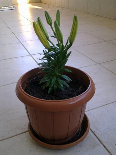 Name:  02062012539.jpg
Views: 1131
Size:  23.0 KB