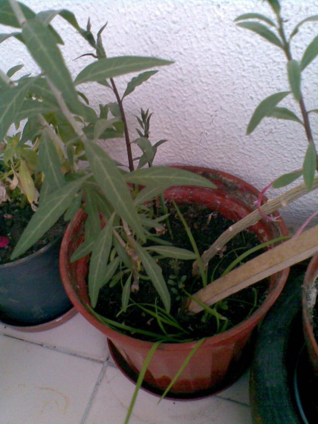 Name:  04062012(002).jpg
Views: 1869
Size:  70.5 KB