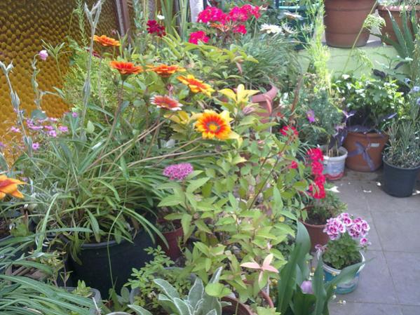 Name:  Teras Genel1.jpg
Views: 3465
Size:  67.9 KB
