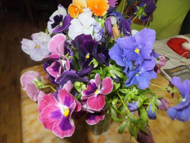 Name:  DSCF3093.jpg
Views: 1145
Size:  50.5 KB