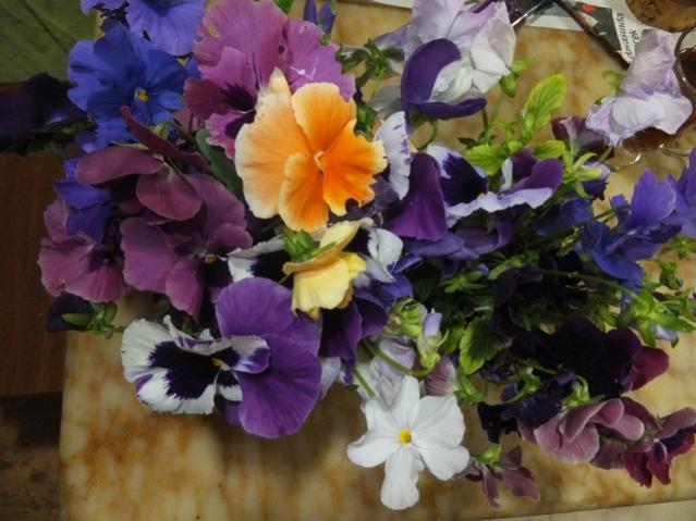 Name:  DSCF3094.jpg
Views: 1126
Size:  47.6 KB