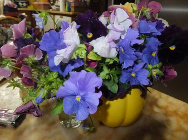 Name:  DSCF3095.jpg
Views: 1121
Size:  47.4 KB