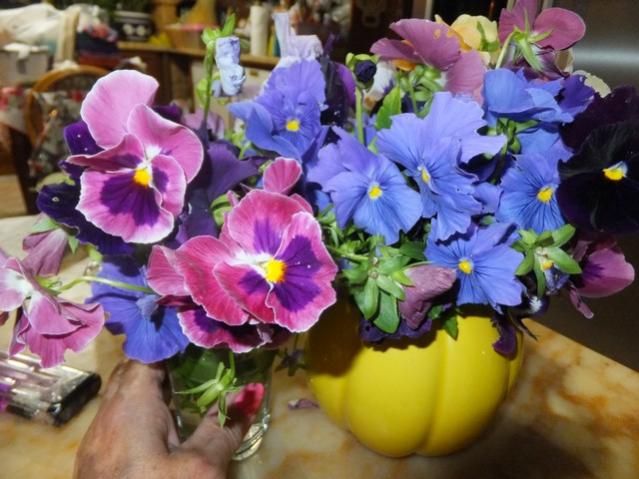 Name:  DSCF3096.jpg
Views: 1124
Size:  52.1 KB