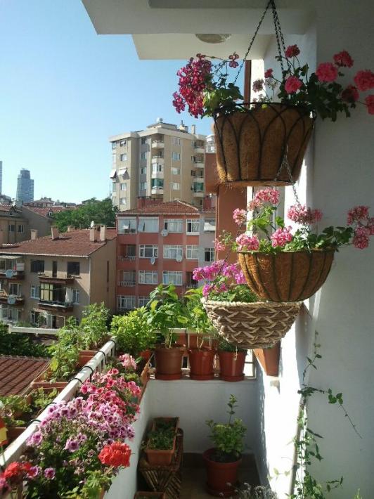 Name:  Fotoraf1258.jpg
Views: 3186
Size:  69.0 KB