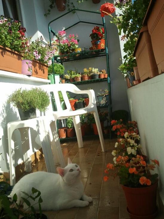 Name:  Fotoraf1255.jpg
Views: 3637
Size:  68.2 KB