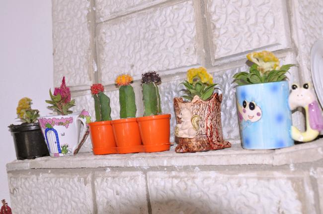 Name:  DSC_0013.jpg
Views: 941
Size:  43.4 KB
