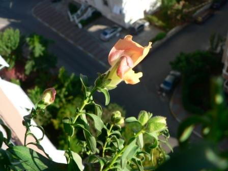 Name:  P1270101.JPG
Views: 611
Size:  30.1 KB