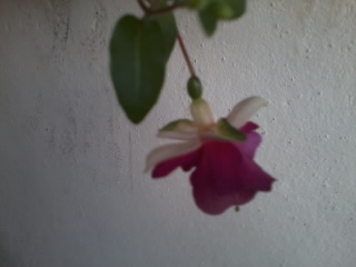 Name:  2012-06-29 20.30.14.jpg
Views: 947
Size:  44.6 KB