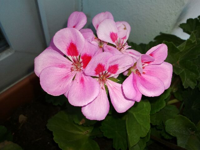 Name:  Fotoraf1337.jpg
Views: 1639
Size:  43.4 KB