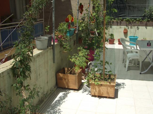 Name:  DSCF8838.jpg
Views: 415
Size:  60.4 KB