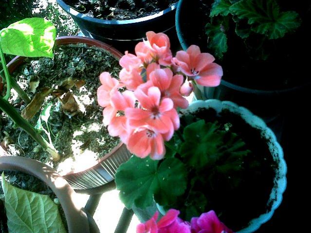 Name:  IMG00007-20120722-1454.jpg
Views: 2192
Size:  59.3 KB