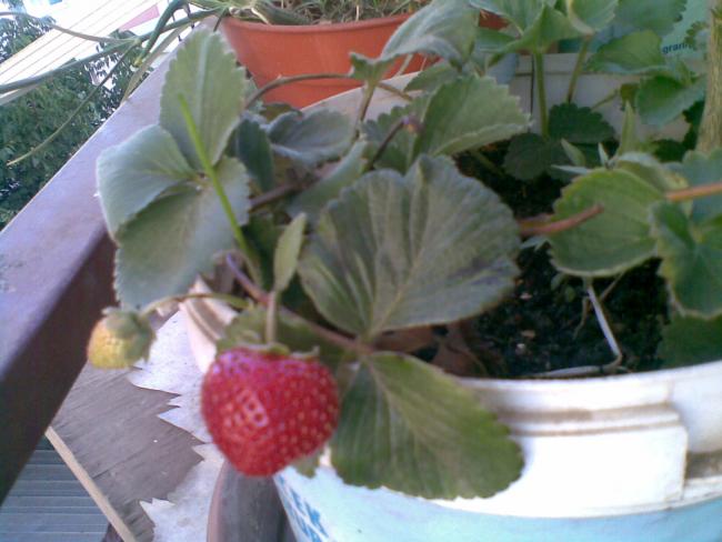 Name:  26072012(002).jpg
Views: 1390
Size:  41.4 KB