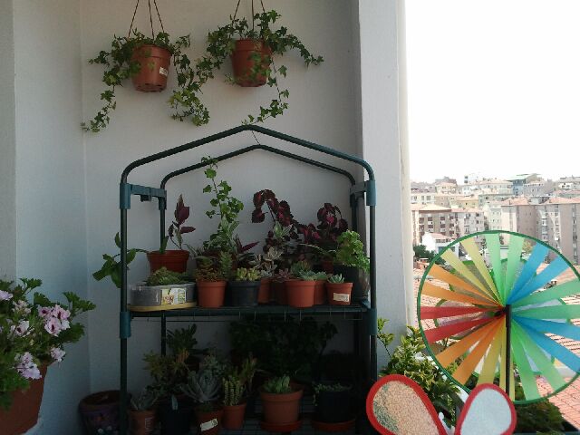 Name:  Fotoraf1870.jpg
Views: 2713
Size:  53.3 KB