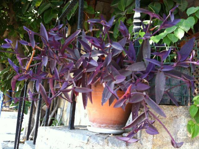 Name:  fotoraf (5).jpg
Views: 6472
Size:  67.7 KB