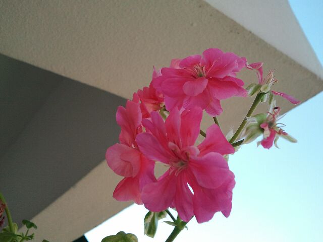 Name:  Fotoraf1909.jpg
Views: 2289
Size:  30.4 KB