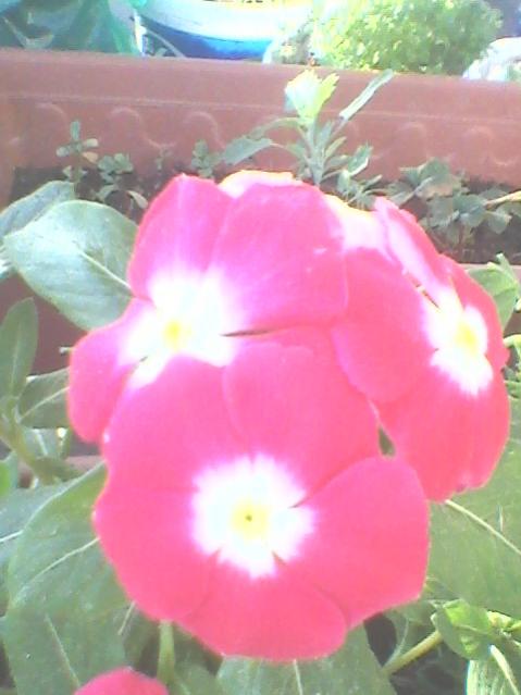 Name:  Fotoraf0094.jpg
Views: 1130
Size:  34.0 KB