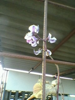 Name:  Fotoraf0206.jpg
Views: 1089
Size:  21.7 KB