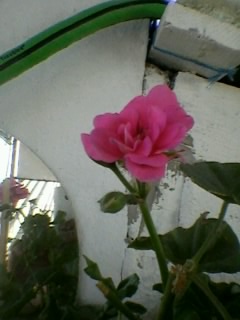Name:  Fotoraf0146.jpg
Views: 1068
Size:  21.1 KB