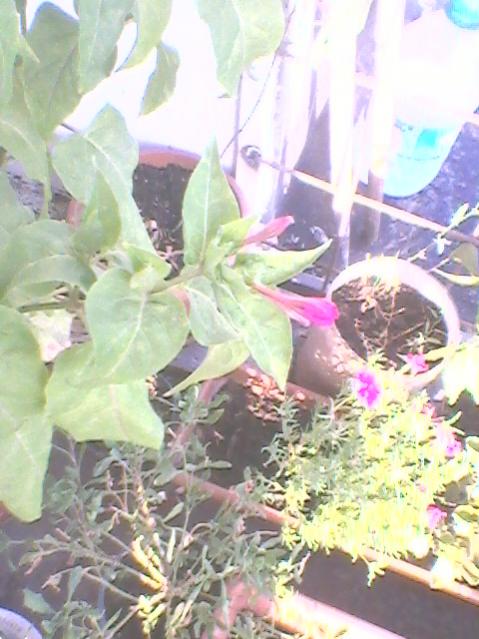Name:  Fotoraf0127.jpg
Views: 868
Size:  50.0 KB