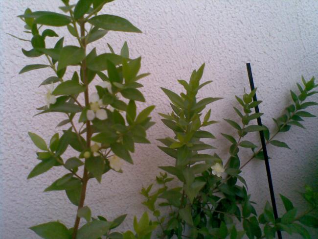 Name:  05072012(001).jpg
Views: 1022
Size:  47.9 KB