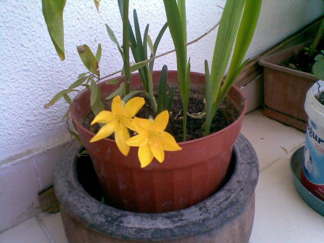 Name:  22092012(004).jpg
Views: 827
Size:  46.1 KB