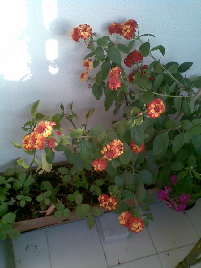 Name:  27092012(003).jpg
Views: 1211
Size:  65.0 KB