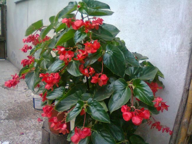 Name:  Fotoraf0523.jpg
Views: 14165
Size:  55.3 KB