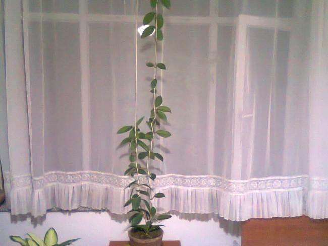 Name:  Fotoraf0592.jpg
Views: 2185
Size:  31.1 KB