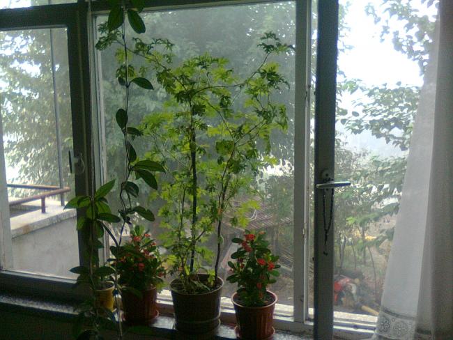 Name:  Fotoraf0595.jpg
Views: 1935
Size:  59.3 KB
