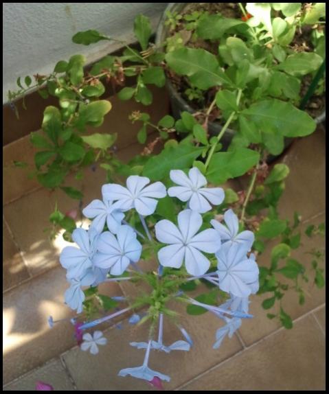 Name:  Fotoraf2209.jpg
Views: 2359
Size:  41.4 KB