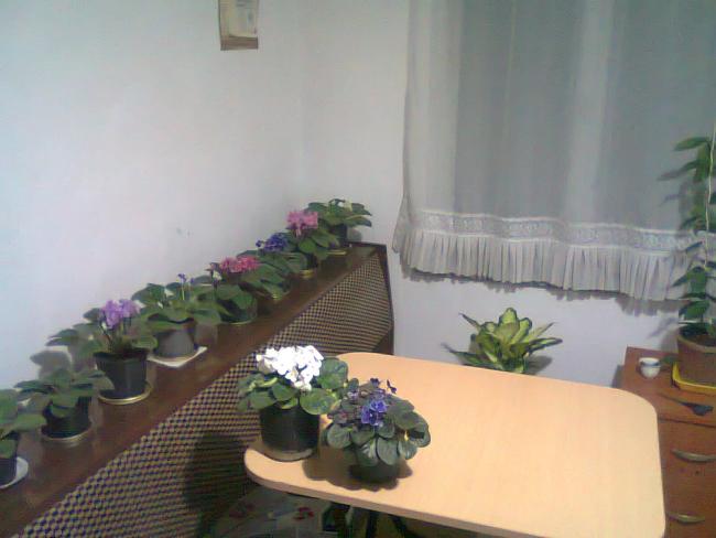 Name:  Fotoraf0648.jpg
Views: 1626
Size:  32.7 KB