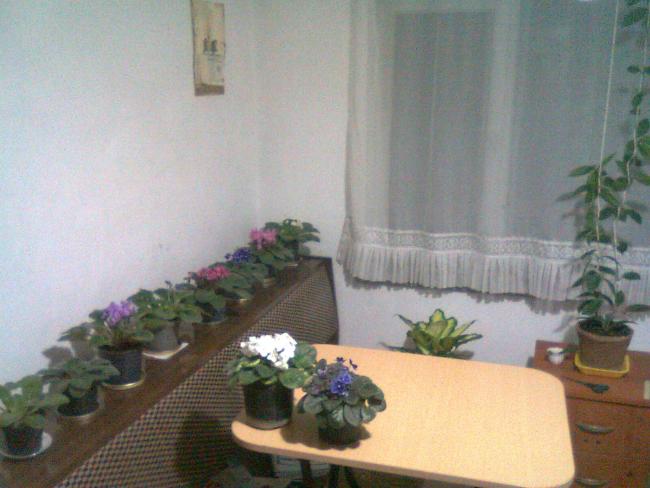 Name:  Fotoraf0649.jpg
Views: 1588
Size:  39.9 KB