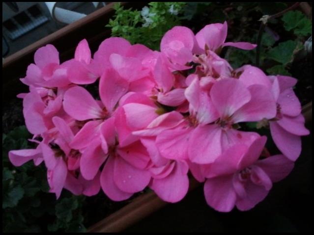 Name:  Fotoraf2231.jpg
Views: 1530
Size:  35.3 KB