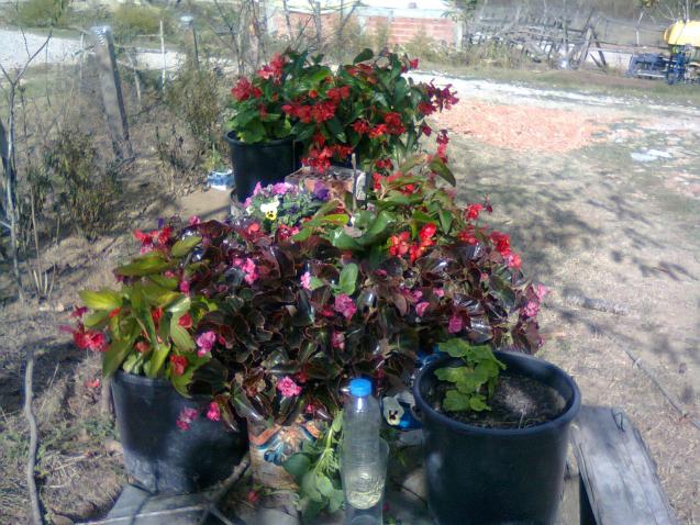 Name:  Fotoraf0695.jpg
Views: 1692
Size:  70.2 KB