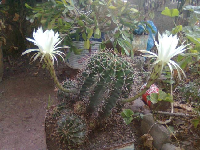 Name:  Fotoraf0712.jpg
Views: 1621
Size:  63.1 KB