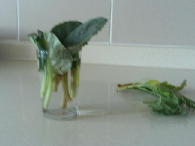 Name:  017.jpg
Views: 2186
Size:  19.2 KB