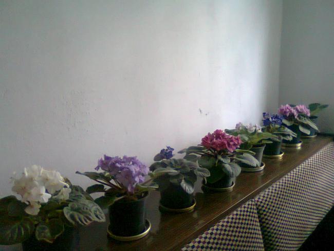 Name:  Fotoraf0859.jpg
Views: 1212
Size:  34.7 KB