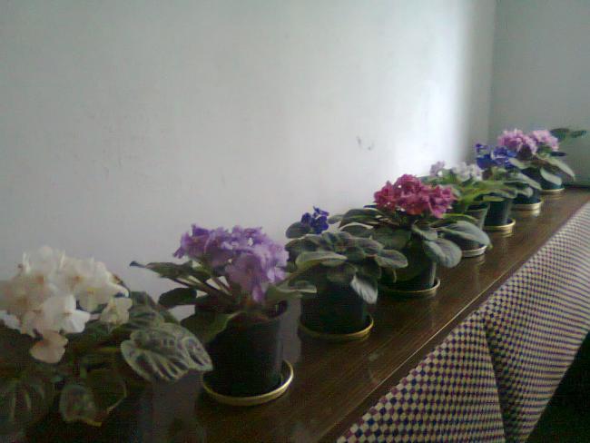 Name:  Fotoraf0862.jpg
Views: 1245
Size:  35.6 KB