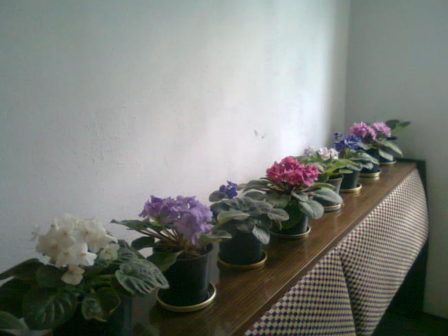Name:  Fotoraf0863.jpg
Views: 1235
Size:  32.9 KB