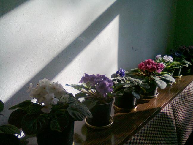 Name:  Fotoraf0865.jpg
Views: 1237
Size:  43.0 KB
