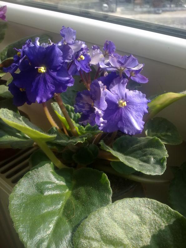 Name:  181120121058.jpg
Views: 1806
Size:  71.7 KB