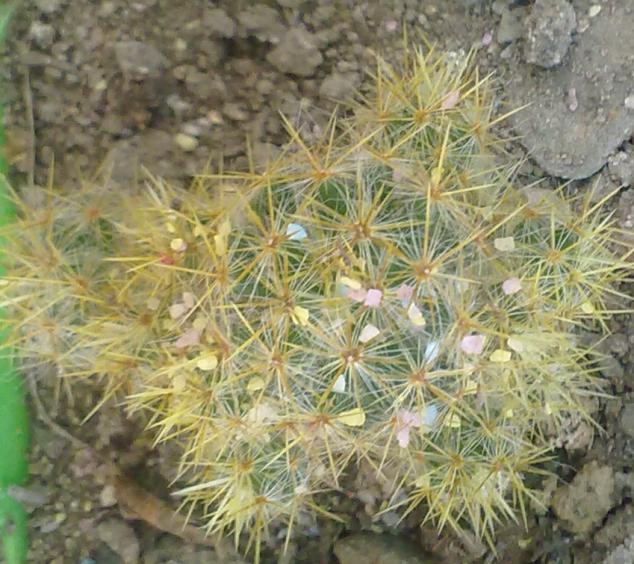 Name:  181120121101.jpg
Views: 1701
Size:  70.7 KB