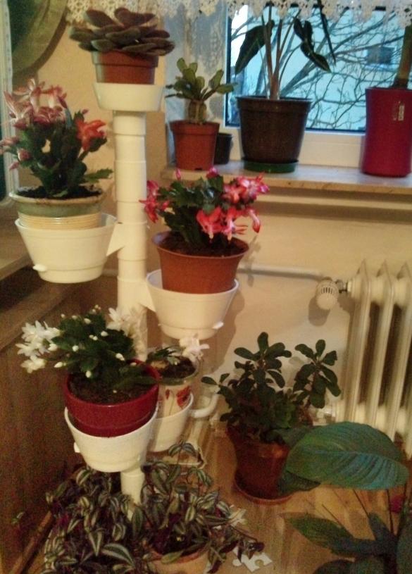Name:  aviary_1353860437135.jpg
Views: 2367
Size:  72.7 KB