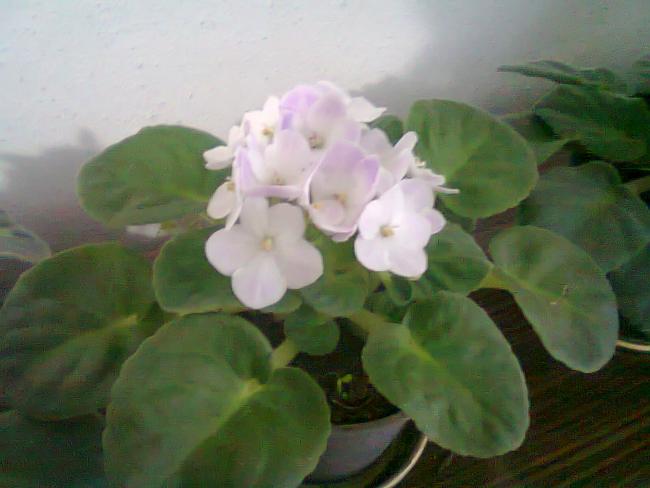 Name:  Fotoraf0932.jpg
Views: 1163
Size:  32.6 KB