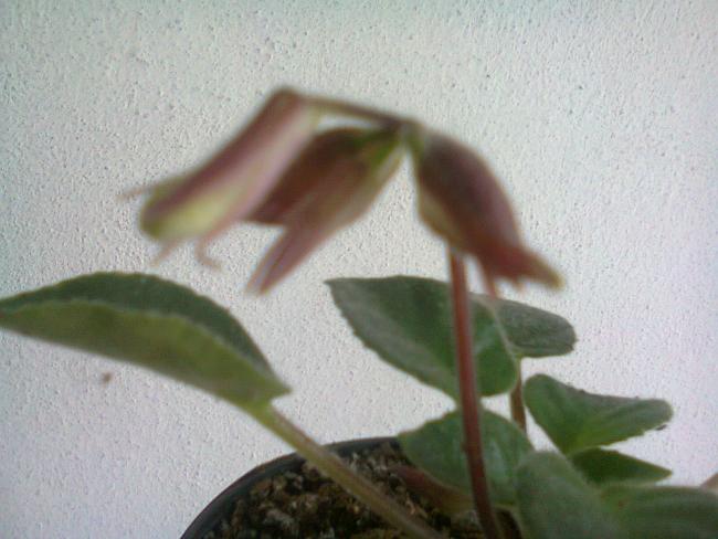Name:  Fotoraf0953.jpg
Views: 1180
Size:  40.7 KB