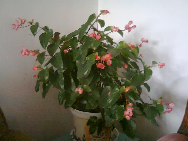 Name:  Fotoraf0962.jpg
Views: 1840
Size:  34.2 KB