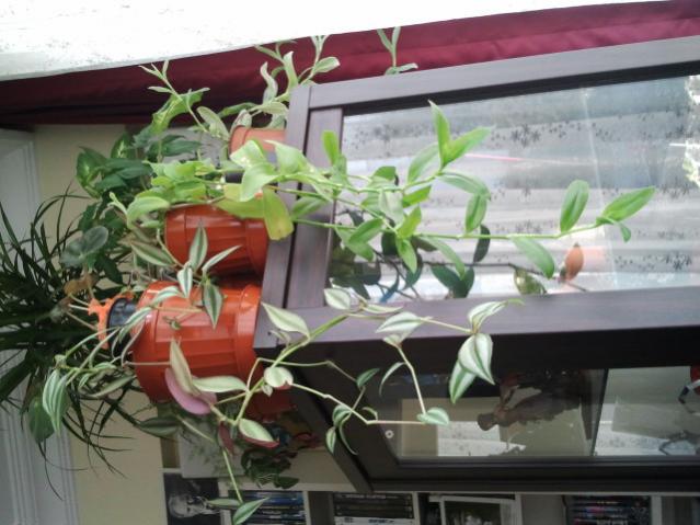 Name:  Fotoraf2439.jpg
Views: 1360
Size:  47.9 KB