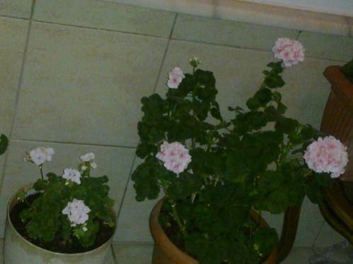 Name:  11122012988.jpg
Views: 475
Size:  21.8 KB