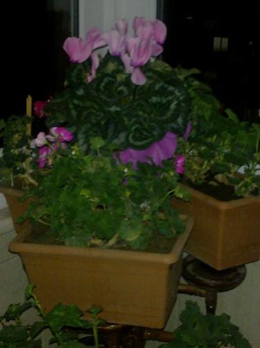 Name:  11122012984.jpg
Views: 467
Size:  21.4 KB